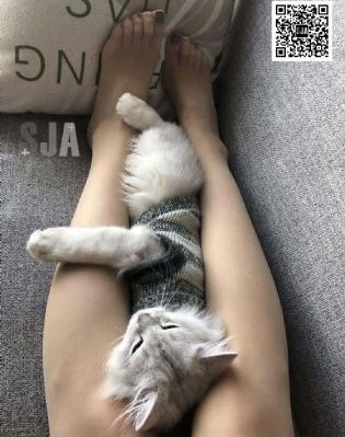 色综合久久夜色精品国产_国产剧免费观看