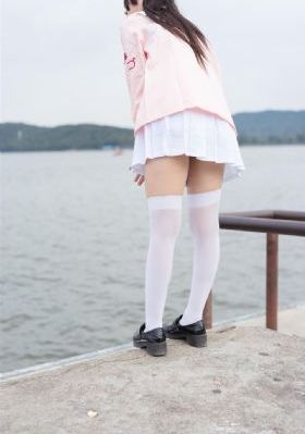 国产混合动力汽车价格_中英字幕1080